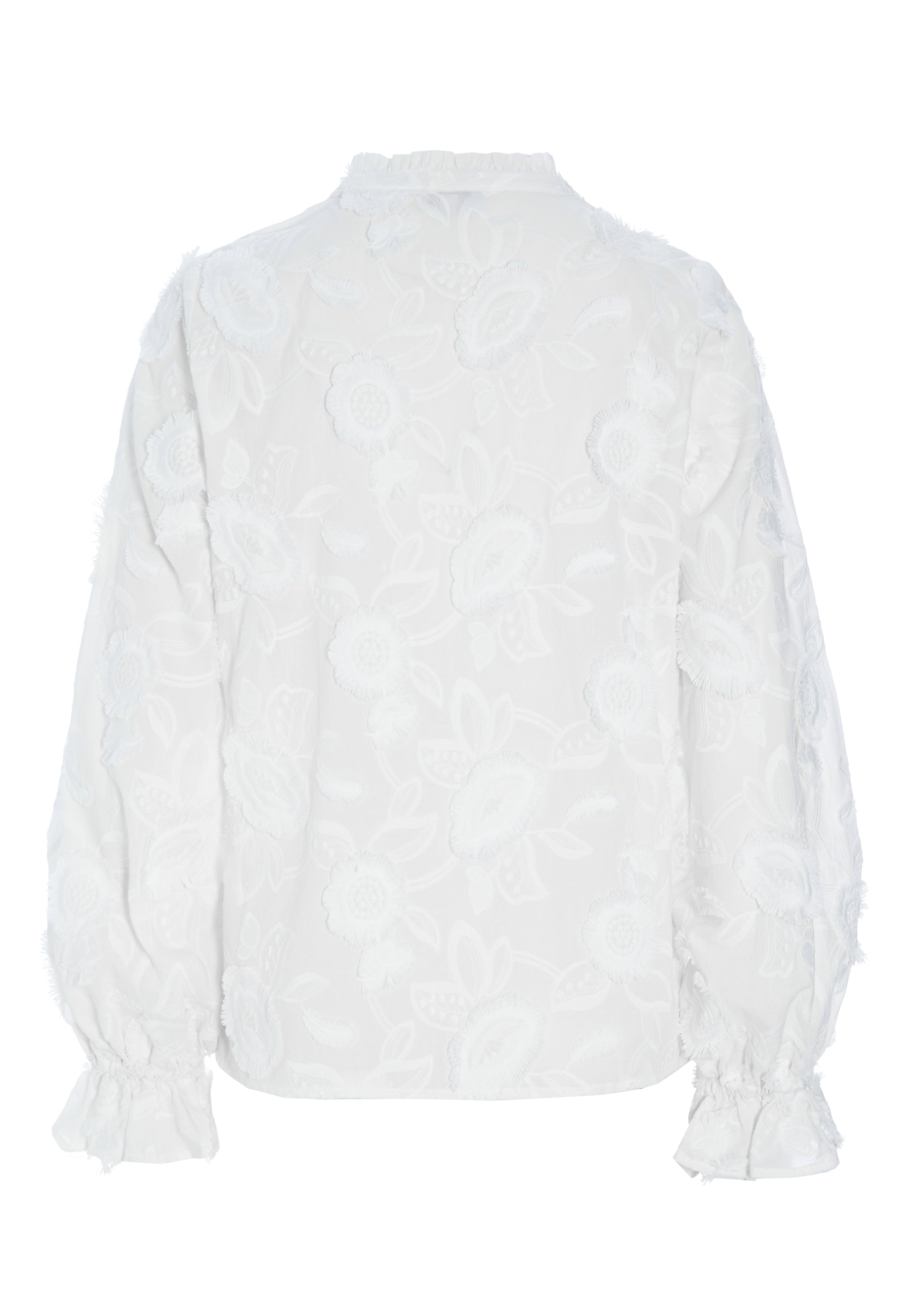 29-0123NS CO_1002_Highres_A