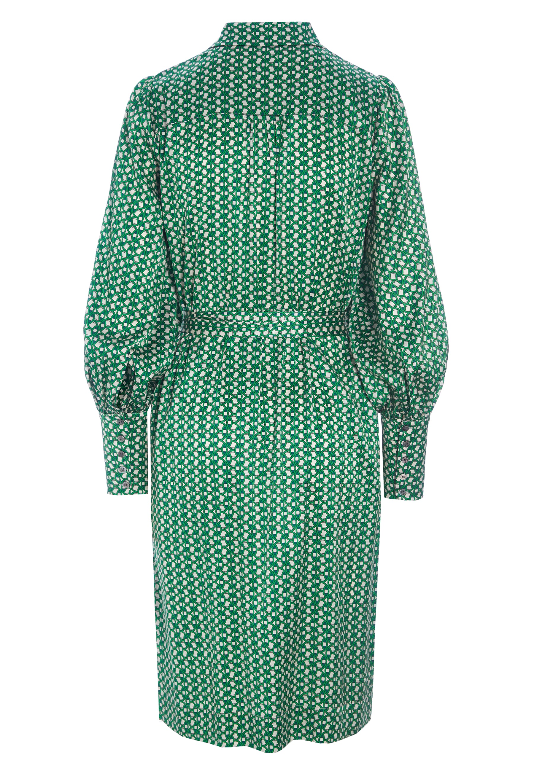 36-0123_5618_Highres_A