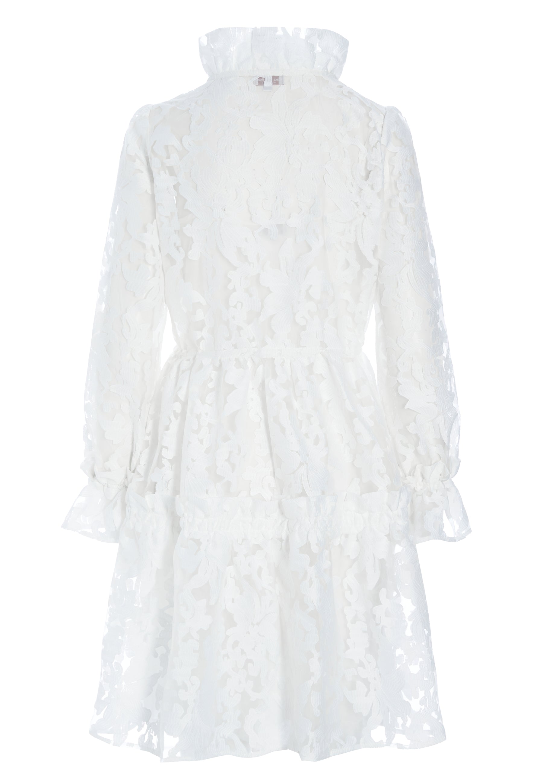 39-0123NS_5645_Highres_A